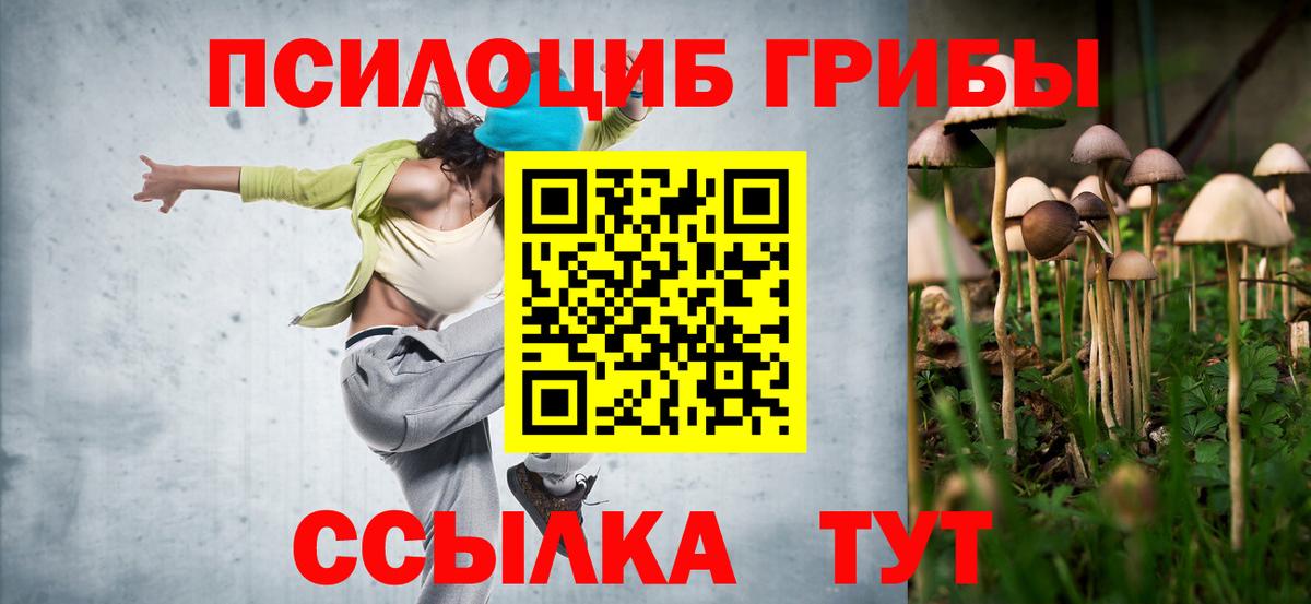 Псилоцибиновые грибы GOLDEN TEACHER Кондопога